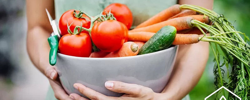 How nutritious is your food?